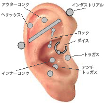 軟骨ピアスイメージ