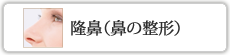 隆鼻（鼻の整形）